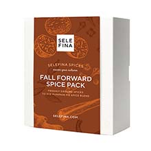 Fall Forward Spice Pack: seven pre-ground fall spices for making your own pumpkin pie spice