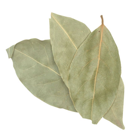 Bay Leaf Laurel Whole 0.25oz