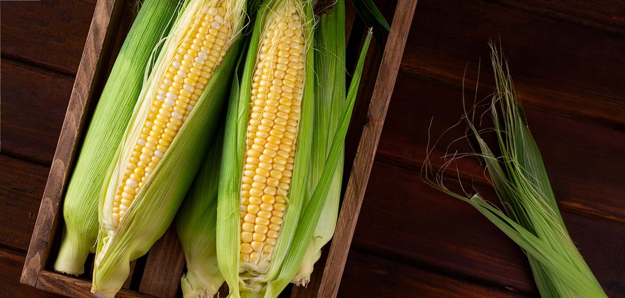 Peak Seasoning: Cheesy Garlic Corn Ribs