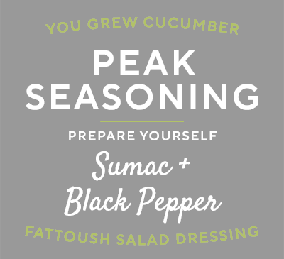 Peak Seasoning: Prepare Yourself with Sumac for Fattoush Salad Dressing