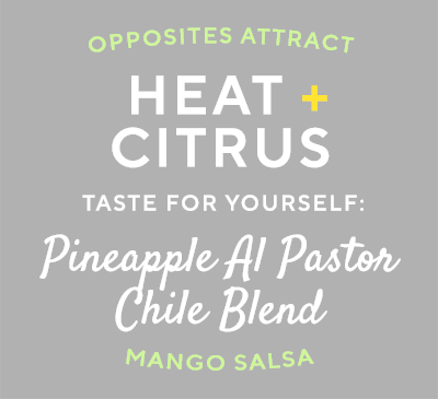 Using Pineapple Al Pastor Spice Blend