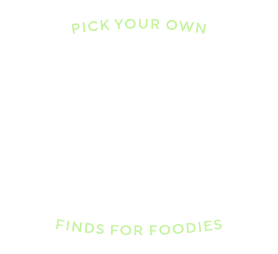 Gifting Ideas for the Holidays