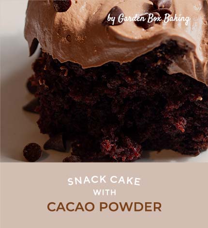 Cacao Powder Recipe: Double Chocolate Snack Cake