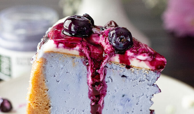 Blueberry Cheesecake