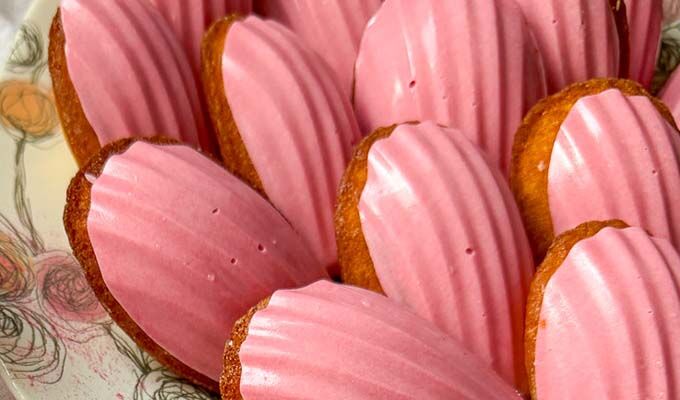 Tulip Petal Madeleines